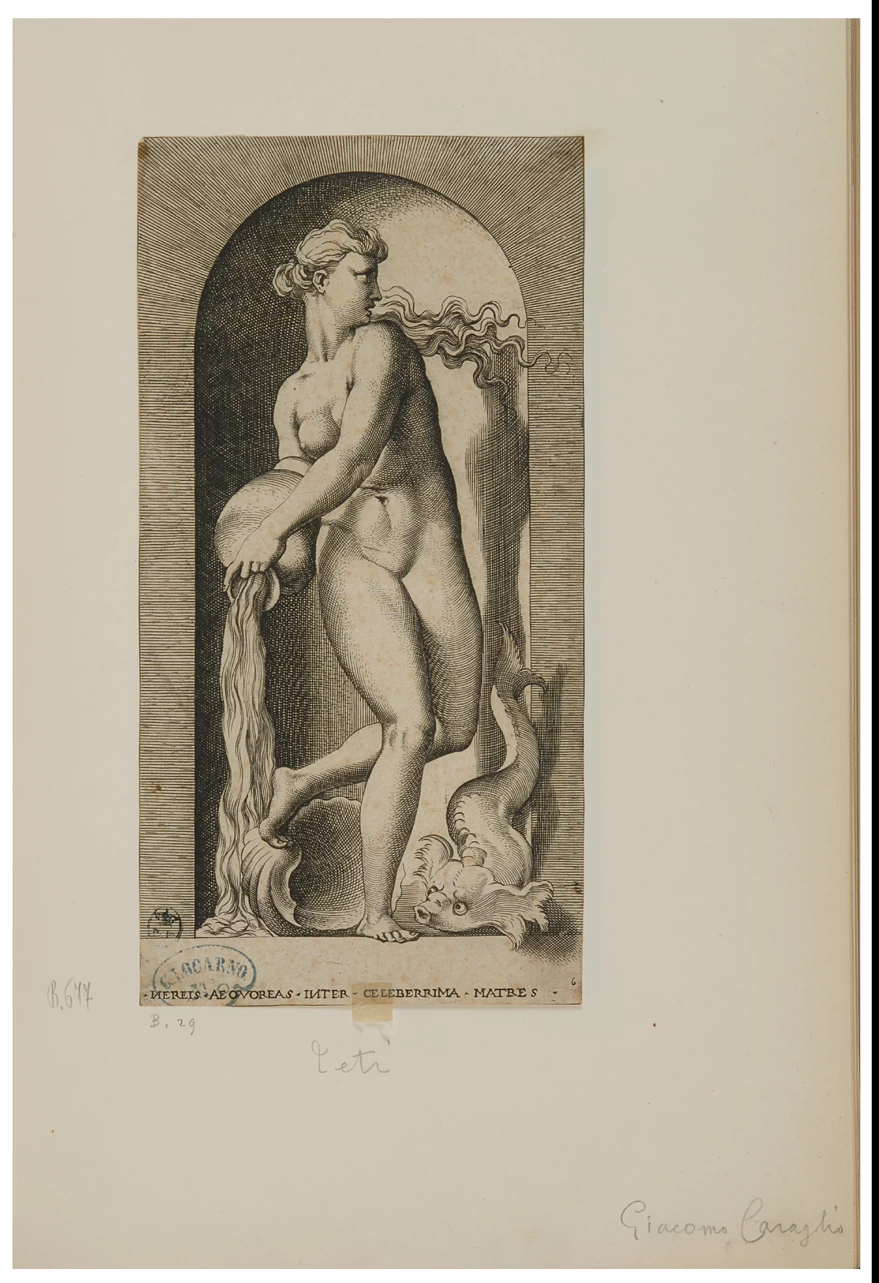 Fiorentino - Nereis aequoreas inter celeberrima matres. Teti, Galleria Sabauda, Torino